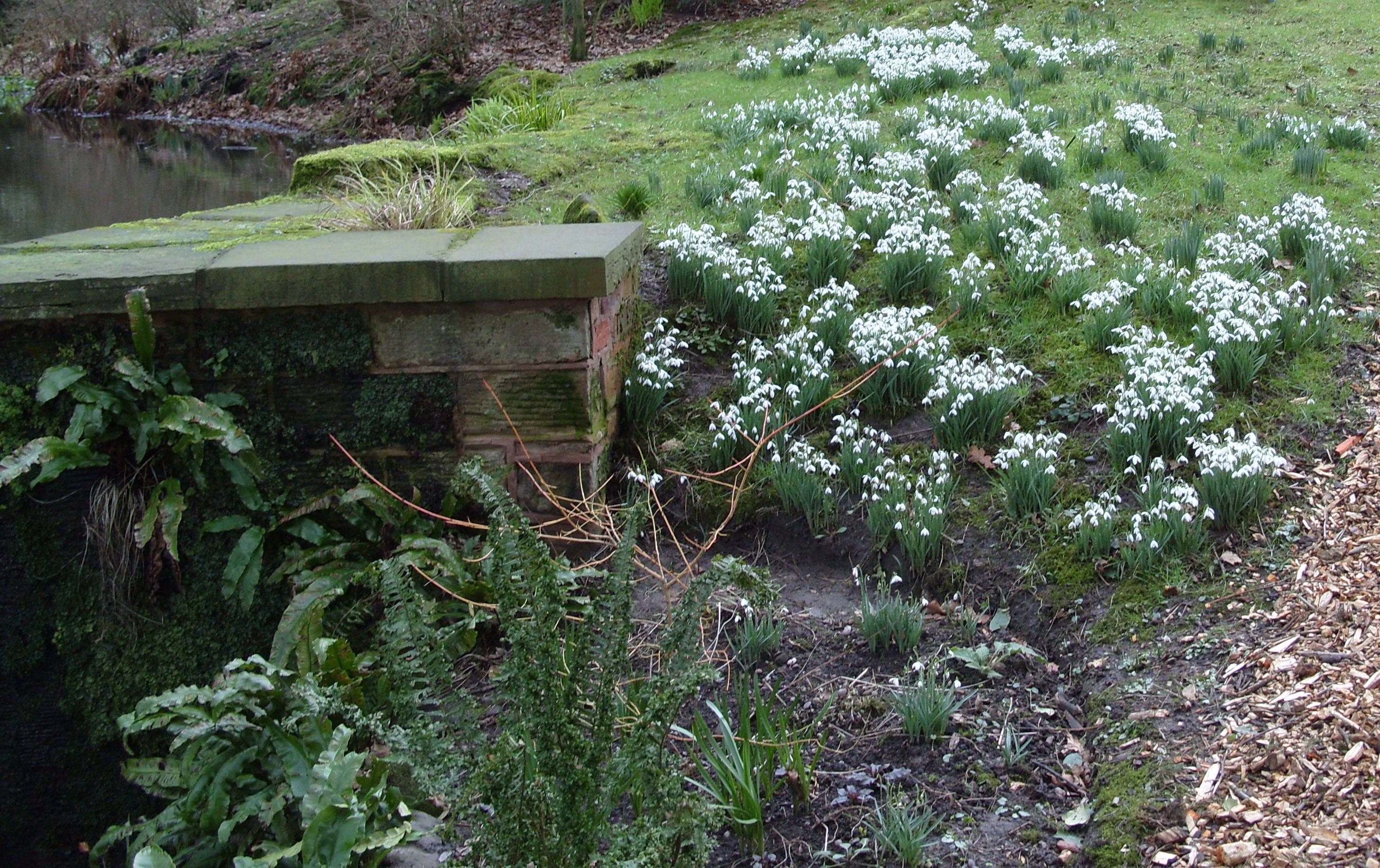 Well Dressings Bakewell